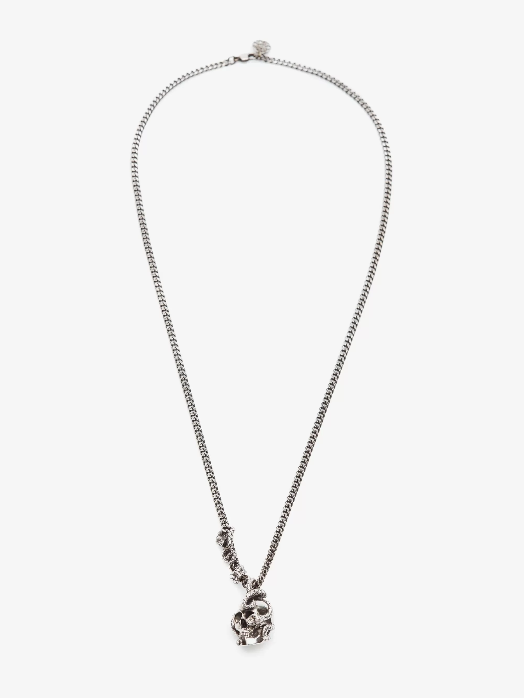 Men's Skull And Snake Necklace in >Alexander McQueen Online