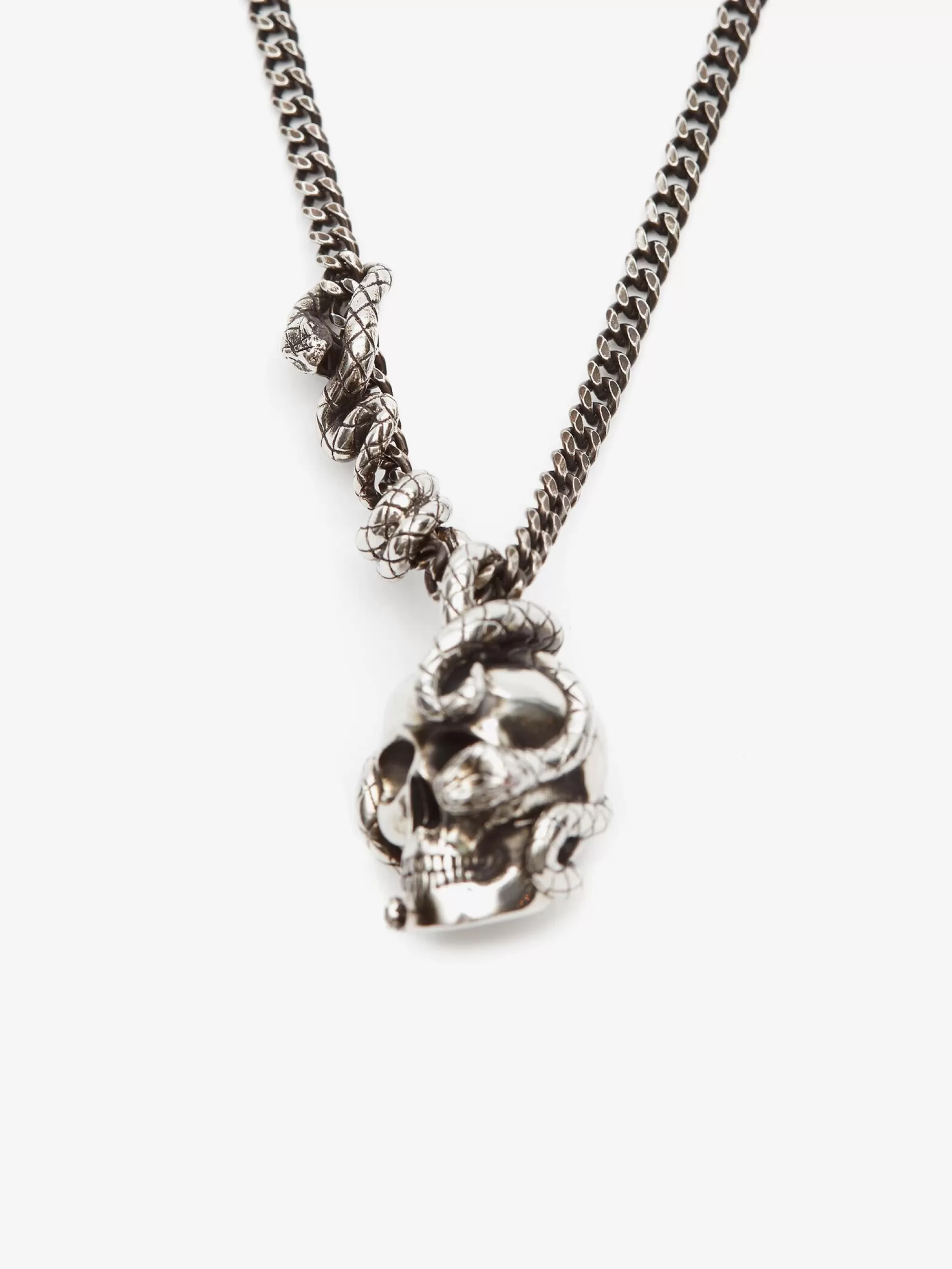 Men's Skull And Snake Necklace in >Alexander McQueen Online